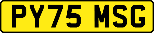 PY75MSG