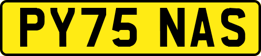 PY75NAS