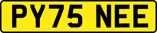 PY75NEE