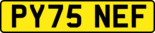 PY75NEF