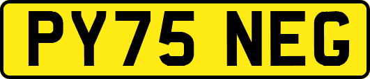 PY75NEG