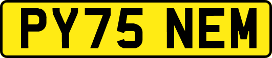 PY75NEM