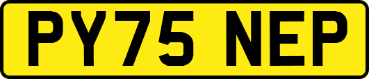 PY75NEP