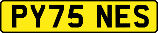 PY75NES