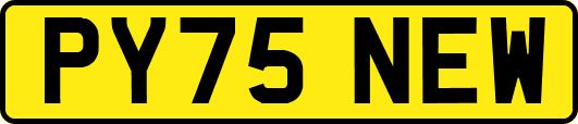 PY75NEW