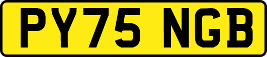 PY75NGB
