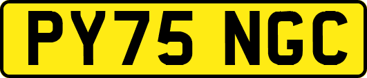 PY75NGC