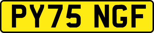PY75NGF