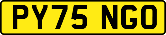 PY75NGO