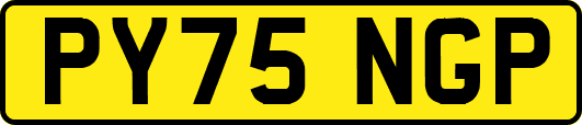 PY75NGP