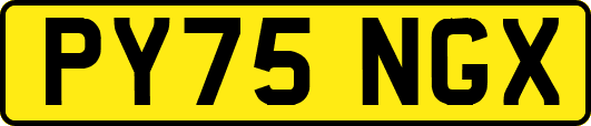 PY75NGX