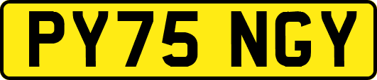 PY75NGY