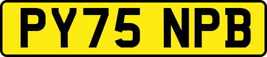 PY75NPB