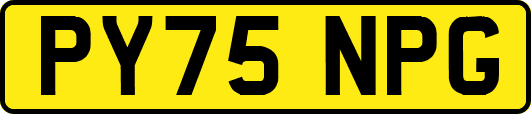 PY75NPG