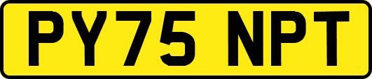PY75NPT