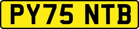 PY75NTB