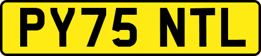 PY75NTL