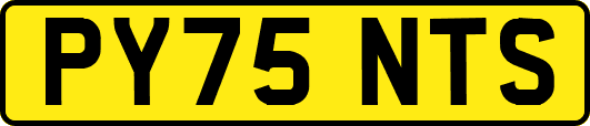PY75NTS