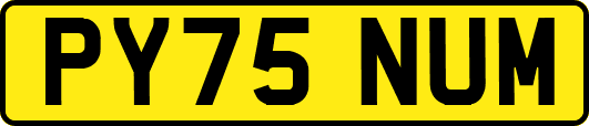 PY75NUM