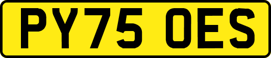 PY75OES