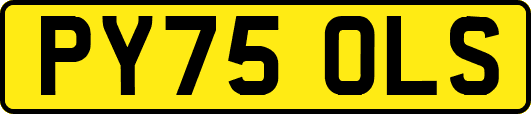 PY75OLS