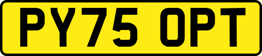 PY75OPT