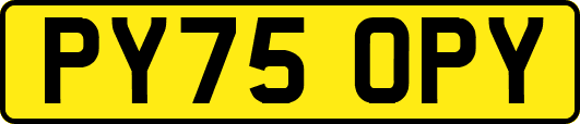 PY75OPY