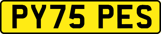 PY75PES