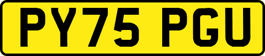 PY75PGU