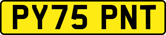 PY75PNT