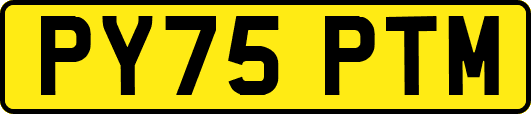 PY75PTM