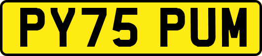 PY75PUM