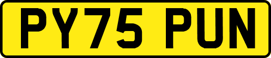 PY75PUN