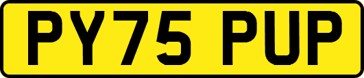 PY75PUP