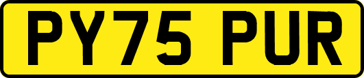 PY75PUR