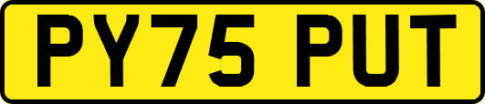 PY75PUT