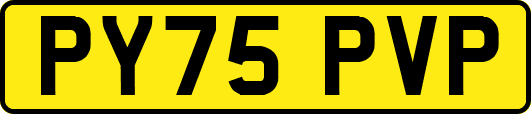 PY75PVP
