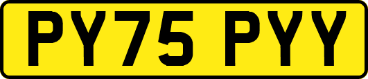 PY75PYY