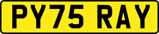 PY75RAY