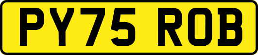 PY75ROB