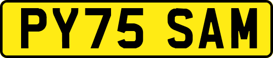 PY75SAM