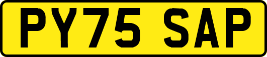 PY75SAP