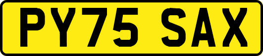 PY75SAX