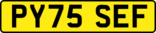 PY75SEF