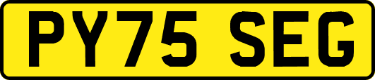 PY75SEG