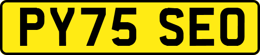 PY75SEO
