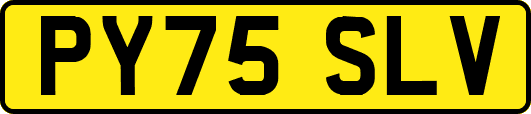PY75SLV