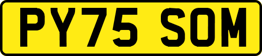 PY75SOM