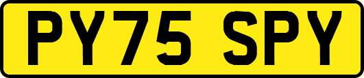 PY75SPY