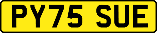 PY75SUE